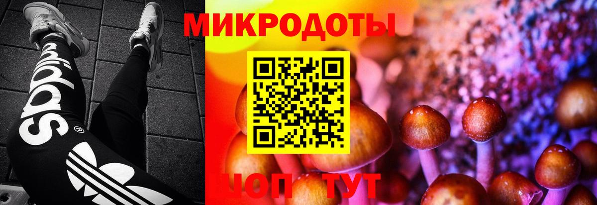 Псилоцибиновые грибы Psilocybine cubensis  Вход с VPN  Кулебаки 